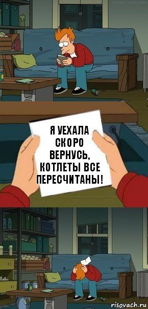 я уехала скоро вернусь, котлеты все пересчитаны!, Комикс  Фрай с запиской