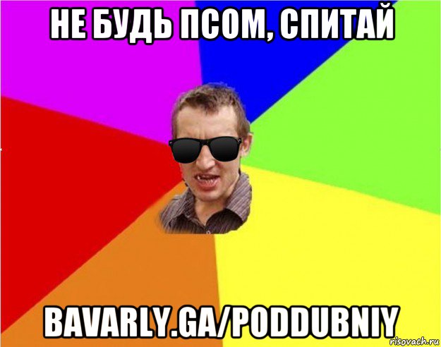 не будь псом, спитай bavarly.ga/poddubniy, Мем Чьоткий двiж