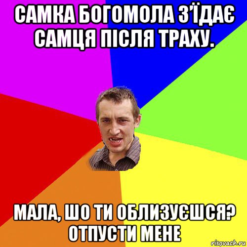 самка богомола з’їдає самця після траху. мала, шо ти облизуєшся? отпусти мене