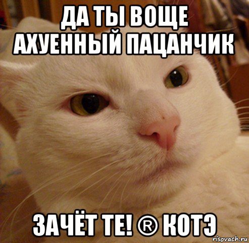 да ты воще ахуенный пацанчик зачёт те! ® котэ, Мем Дерзкий котэ