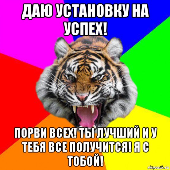 даю установку на успех! порви всех! ты лучший и у тебя все получится! я с тобой!, Мем  ДЕРЗКИЙ ТИГР