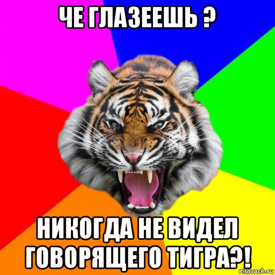 че глазеешь ? никогда не видел говорящего тигра?!, Мем  ДЕРЗКИЙ ТИГР