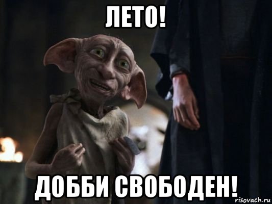 лето! добби свободен!, Мем   Добби