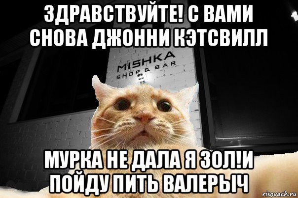 здравствуйте! с вами снова джонни кэтсвилл мурка не дала я зол!и пойду пить валерыч, Мем   Джонни Кэтсвилл