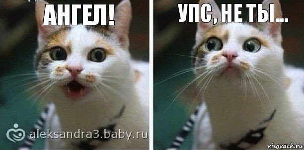 ангел! Упс, не ты...