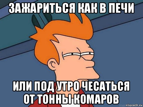 зажариться как в печи или под утро чесаться от тонны комаров, Мем  Фрай (мне кажется или)