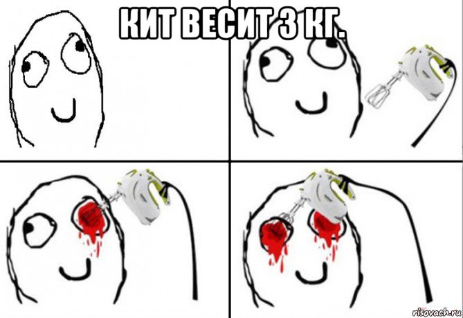 кит весит 3 кг. 