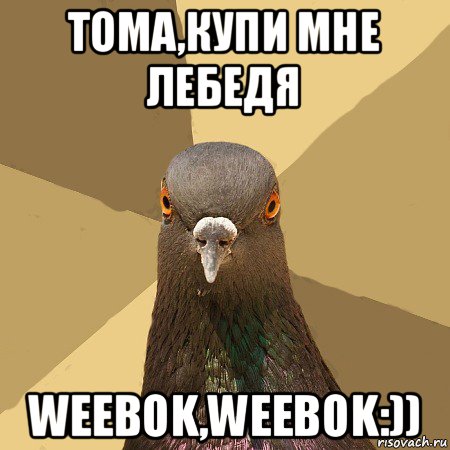 тома,купи мне лебедя weebok,weebok:)), Мем голубь