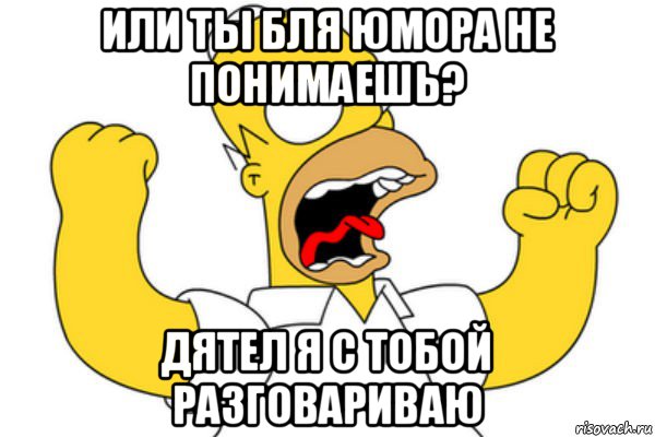 или ты бля юмора не понимаешь? дятел я с тобой разговариваю, Мем Разъяренный Гомер