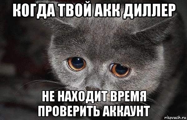 когда твой акк диллер не находит время проверить аккаунт, Мем  Грустный кот