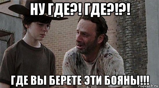 ну где?! где?!?! где вы берете эти бояны!!!, Мем  Ходячие мертвецы