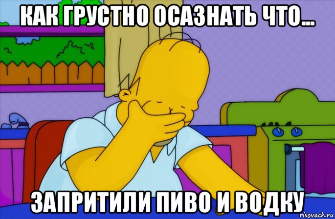 как грустно осазнать что... запритили пиво и водку, Мем Homer simpson facepalm