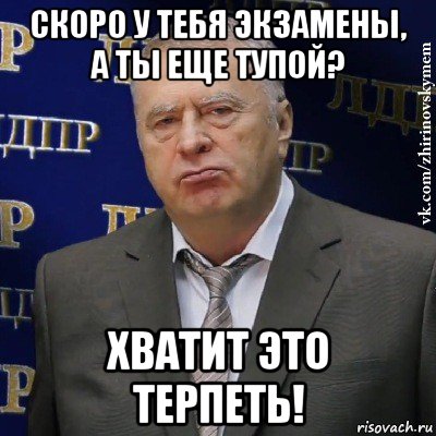 скоро у тебя экзамены, а ты еще тупой? хватит это терпеть!, Мем Хватит это терпеть (Жириновский)