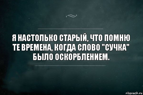 Я настолько старый, что помню те времена, когда слово "Сучка" было оскорблением., Комикс Игра Слов