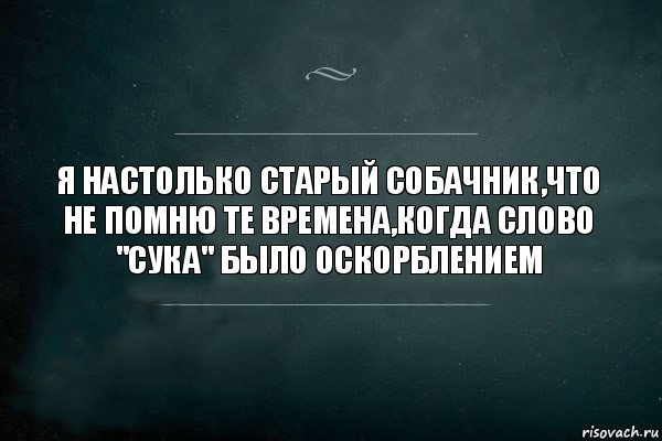 Я настолько старый собачник,что не помню те времена,когда слово "сУка" было оскорблением, Комикс Игра Слов