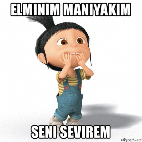 elminim maniyakim seni sevirem