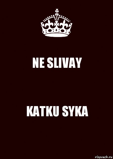 NE SLIVAY KATKU SYKA