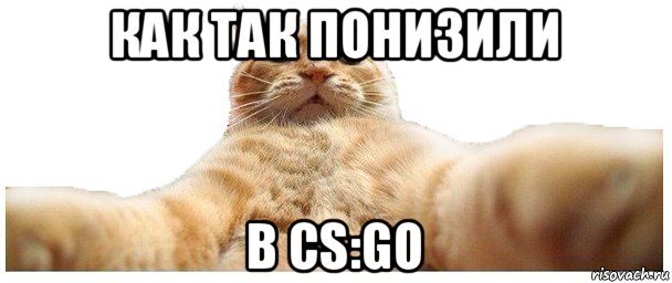 как так понизили в cs:go, Мем   Кэтсвилл