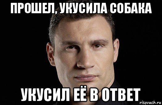 прошел, укусила собака укусил её в ответ, Мем Кличко