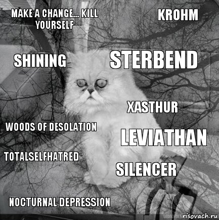 Make a Change... Kill Yourself Leviathan Sterbend Nocturnal Depression Woods of Desolation Krohm Silencer Shining Totalselfhatred Xasthur, Комикс  кот безысходность