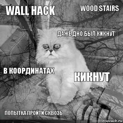 Wall Hack Кикнут Даже Дно был кикнут Попытка пройти сквозь В координатах Wood Stairs    , Комикс  кот безысходность