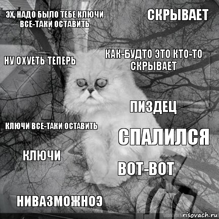 Эх, надо было тебе ключи все-таки оставить спалился Как-будто это кто-то скрывает Нивазможноэ ключи все-таки оставить скрывает Вот-вот ну охуеть теперь ключи пиздец, Комикс  кот безысходность