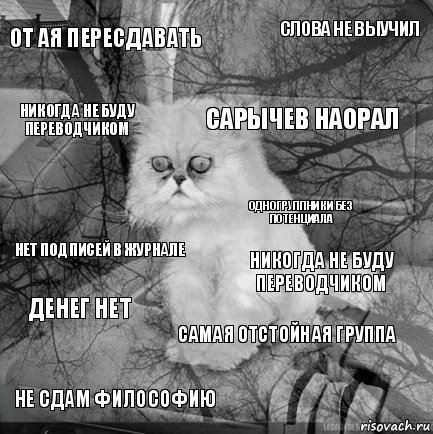 от ая пересдавать никогда не буду переводчиком Сарычев наорал Не сдам философию нет подписей в журнале слова не выучил самая отстойная группа никогда не буду переводчиком денег нет одногруппники без потенциала, Комикс  кот безысходность