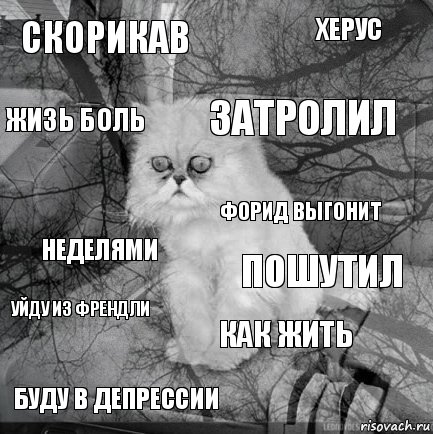 скорикав пошутил затролил буду в депрессии неделями херус как жить жизь боль уйду из френдли форид выгонит, Комикс  кот безысходность