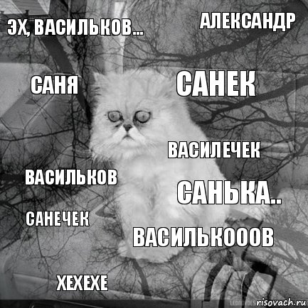 Эх, Васильков... Санька.. Санек хехехе Васильков Александр ВАСИЛЬКОООВ Саня Санечек ВАСИЛЕЧЕК, Комикс  кот безысходность