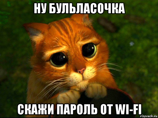 ну бульласочка скажи пароль от wi-fi, Мем кот из шрека