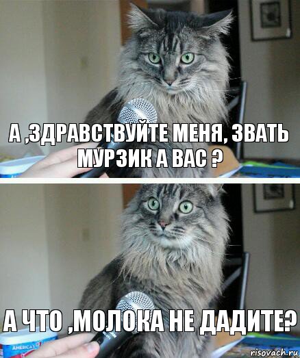 А ,здравствуйте меня, звать Мурзик а вас ? А что ,молока не дадите?, Комикс  кот с микрофоном