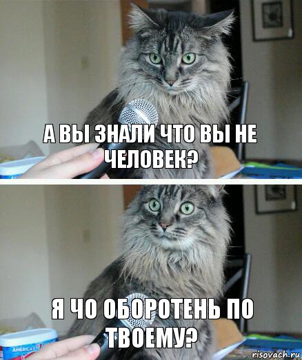 А ВЫ ЗНАЛИ ЧТО ВЫ НЕ ЧЕЛОВЕК? Я ЧО ОБОРОТЕНЬ ПО ТВОЕМУ?, Комикс  кот с микрофоном