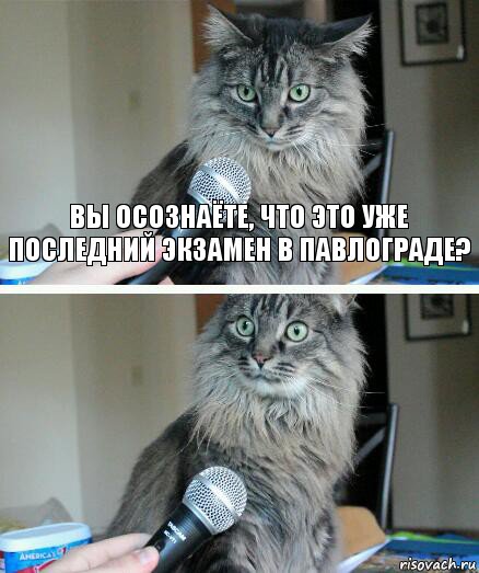 Вы осознаёте, что это уже последний экзамен в павлограде? , Комикс  кот с микрофоном