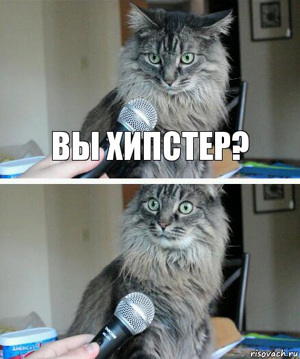 Вы хипстер? , Комикс  кот с микрофоном