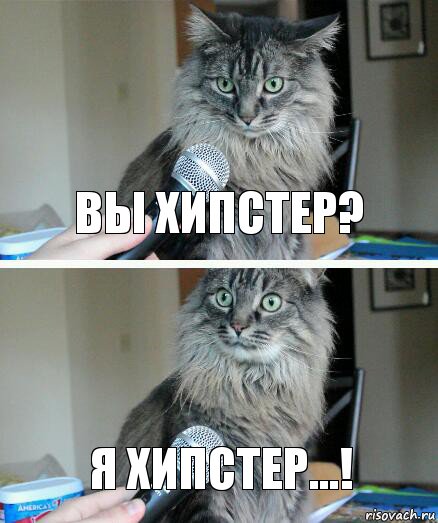 Вы хипстер? Я хипстер...!, Комикс  кот с микрофоном