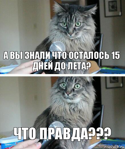 а вы знали что осталось 15 дней до лета? Что правда???, Комикс  кот с микрофоном