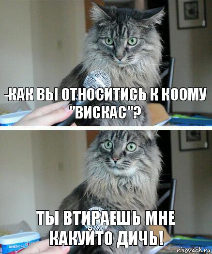 -Как вы относитись к Коому "Вискас"? Ты втираешь мне какуйто дичь!, Комикс  кот с микрофоном