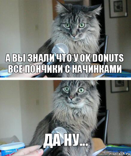 А вы знали что у Ok donuts все пончики с начинками Да ну..., Комикс  кот с микрофоном