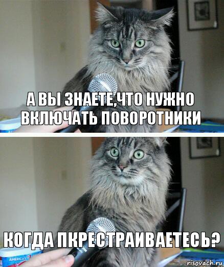 А вы знаете,что нужно включать поворотники Когда пкрестраиваетесь?, Комикс  кот с микрофоном