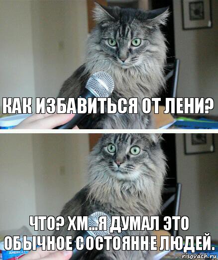 Как избавиться от лени? Что? Хм...Я думал это обычное состоянне людей., Комикс  кот с микрофоном