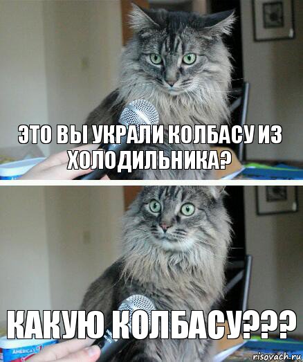 ЭТО ВЫ УКРАЛИ КОЛБАСУ ИЗ ХОЛОДИЛЬНИКА? КАКУЮ КОЛБАСУ???, Комикс  кот с микрофоном