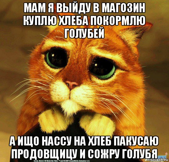 мам я выйду в магозин куплю хлеба покормлю голубей а ищо нассу на хлеб пакусаю продовщицу и сожру голубя, Мем Котик из Шрека