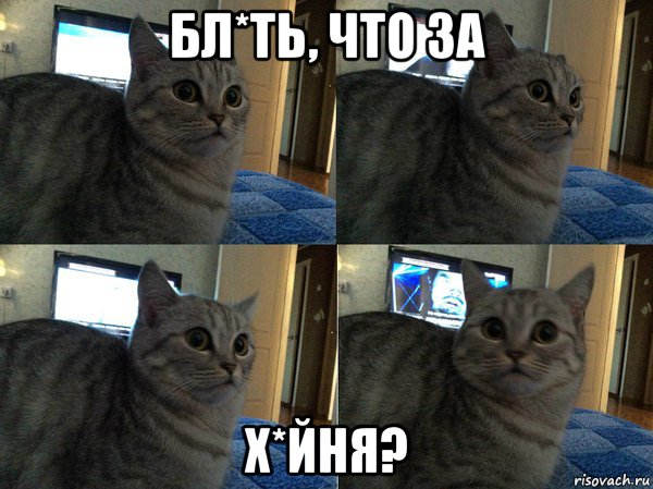 бл*ть, что за х*йня?