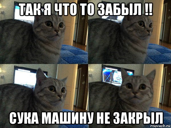 так я что то забыл !! сука машину не закрыл