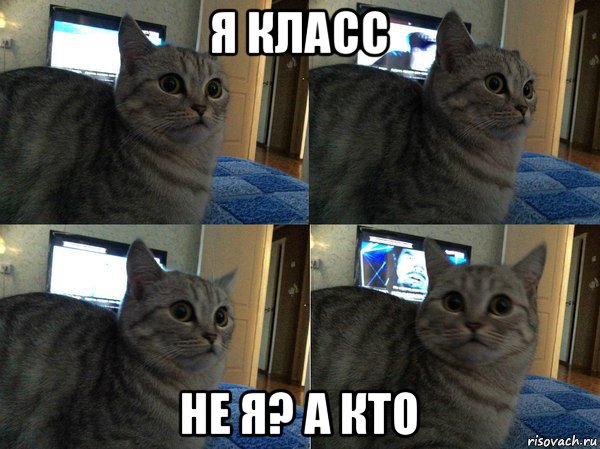 я класс не я? а кто, Мем  Кот в шоке