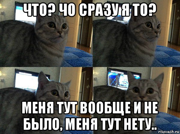 что? чо сразу я то? меня тут вообще и не было, меня тут нету.., Мем  Кот в шоке