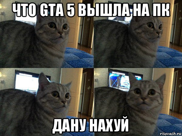 что gta 5 вышла на пк дану нахуй, Мем  Кот в шоке