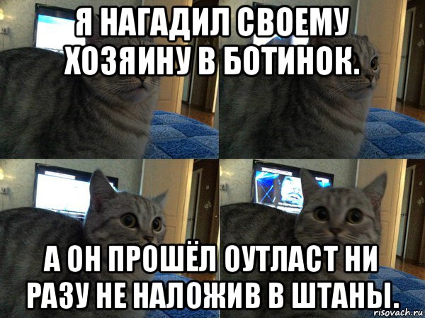 я нагадил своему хозяину в ботинок. а он прошёл оутласт ни разу не наложив в штаны., Мем  Кот в шоке