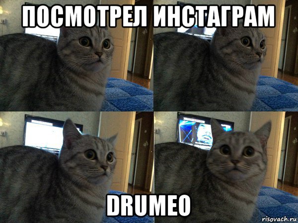 посмотрел инстаграм drumeo, Мем  Кот в шоке