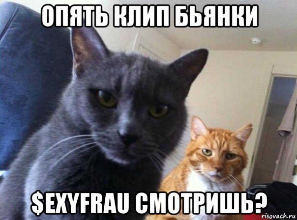 опять клип бьянки $exyfrau смотришь?, Мем  Два котэ